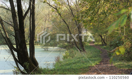 park, trees, alley, old pond and autumn foliage park, trees, alley, old pond and autumn foliage 110250560