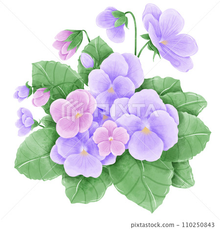 Watercolor hand drawn illustration Violet purple flowers and leaves bouquet for wedding invitation bridal shower greeting card Watercolor hand drawn illustration Violet purple flowers and leaves bouquet for wedding invitation bridal shower greeting card 110250843