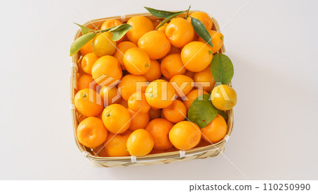 Kumquat Kumquat 110250990