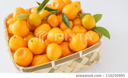 Kumquat 110250995