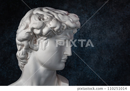 Gypsum copy of head statue David for artists on dark background. Replica of face famous sculpture youth of David by Michelangelo. Template design for art, dj, fashion, poster, zine. Renaissance epoch. Gypsum copy of head statue David for artists on dark background. Replica of face famous sculpture youth of David by Michelangelo. Template design for art, dj, fashion, poster, zine. Renaissance epoch. 110251014