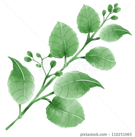 Watercolor hand drawn illustration leaves and branch for wedding invitation bridal shower greeting card 110251065