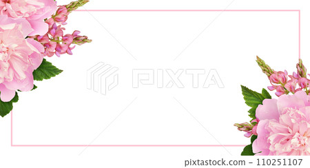 Pink peonies and onobrychis flowers in a corner floral arrangements and a frame isolated on white Pink peonies and onobrychis flowers in a corner floral arrangements and a frame isolated on white 110251107