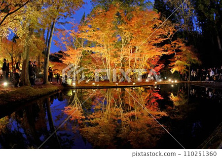 Sogaki Park Lighting Up Sogaki Park Lighting Up 110251360