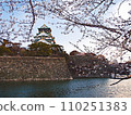 Spring of Osaka Castle 110251383