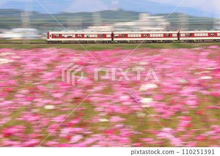 Cosmos and Kintetsu train 110251391