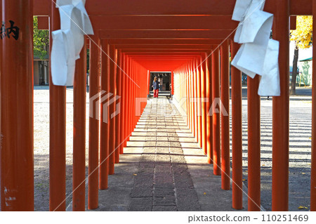 Danjuro Inari Shrine of Yayumi Inari Shrine [Higashimatsuyama City, Saitama Prefecture] 110251469