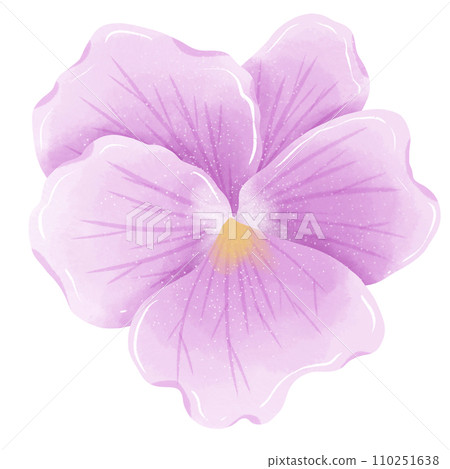 Watercolor hand drawn illustration Violet purple flower for wedding invitation bridal shower greeting card 110251638