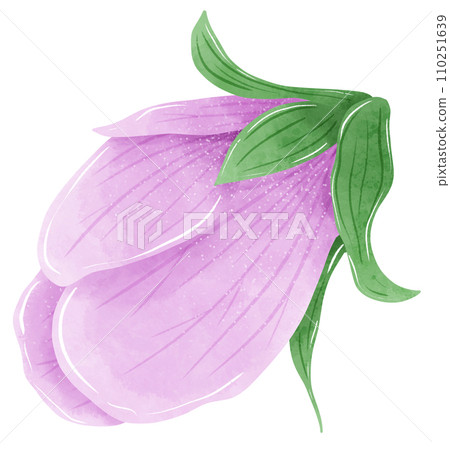 Watercolor hand drawn illustration Violet purple flower for wedding invitation bridal shower greeting card 110251639