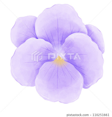 Watercolor hand drawn illustration Violet purple flower for wedding invitation bridal shower greeting card 110251661