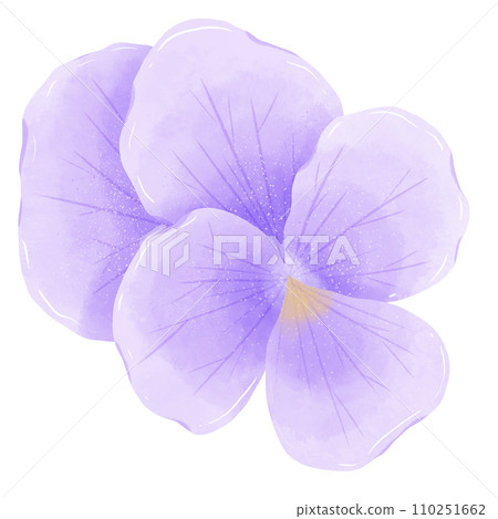 Watercolor hand drawn illustration Violet purple flower for wedding invitation bridal shower greeting card 110251662
