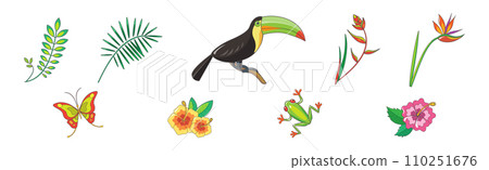 Tropical Blooming Flora and Botany Plant with Fauna Vector Set Tropical Blooming Flora and Botany Plant with Fauna Vector Set 110251676