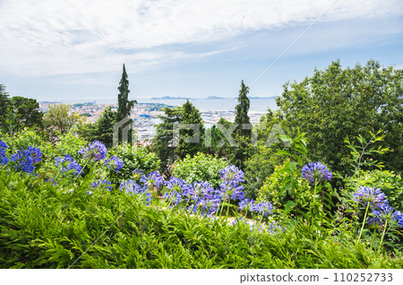Park Monte del Castro, park located on a hill in Vigo, the biggest city in Galicia Region, in the North of Spain. Trees, paths, selective focus 110252733