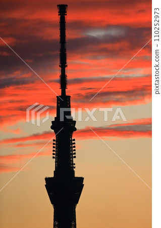 Tokyo Sky Tree and Sunset 110252973