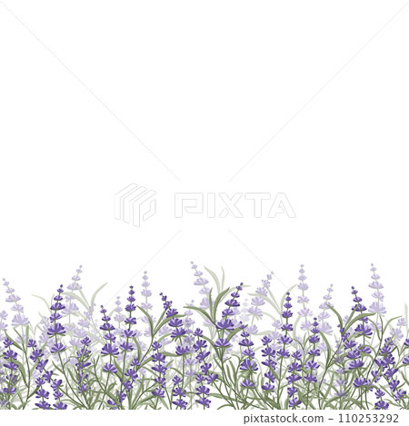 Floral purple-lavender border made of lavender flowers and leaves, for the design of postcards, invitations, banners, packaging and wallpaper. A frame for your design. Vector illustration Floral purple-lavender border made of lavender flowers and leaves, for the design of postcards, invitations, banners, packaging and wallpaper. A frame for your design. Vector illustration 110253292