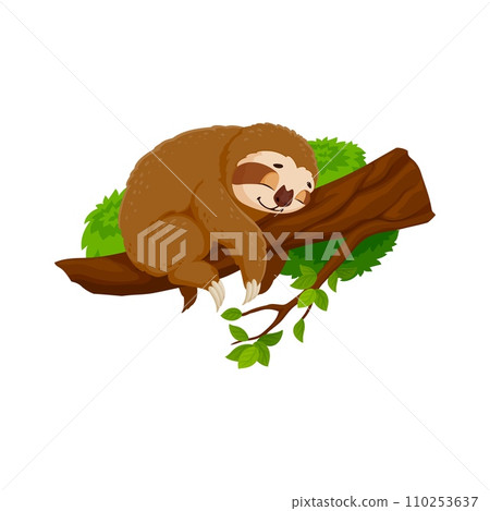 Cartoon funny sloth character peacefully slumbers on tree branch. Isolated vector cute tropical animal nap, its tranquil expression and relaxed posture capturing the essence slow and easygoing nature 110253637