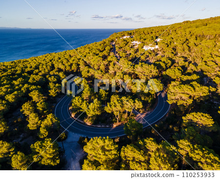 Aerial Shot of Horseshoe Bend in Pine Forest Overlooking the Sea Aerial Shot of Horseshoe Bend in Pine Forest Overlooking the Sea 110253933