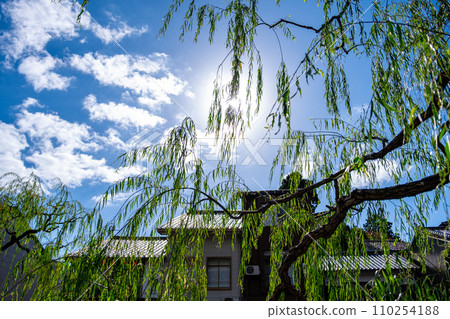 [#Kinosaki Onsen] Townscape of hot spring town 110254188