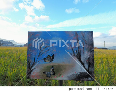 Spray art work “Butterfly” 110254326