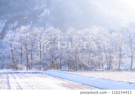 [長野縣] 冬天的白霜自然景觀/白馬村 110254451