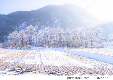 [長野縣] 冬天的白霜自然景觀/白馬村 110254452