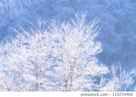 [長野縣] 冬天的白霜自然景觀/白馬村 110254460