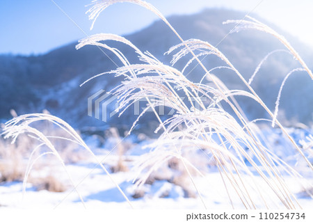 [長野縣] 冬天的白霜自然景觀/白馬村 110254734