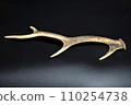 Deer antlers on black background 110254738