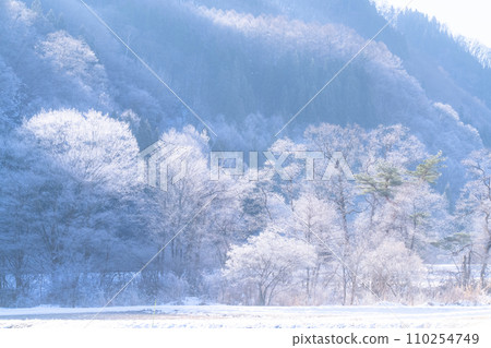 [Nagano Prefecture] Natural landscape of hoarfrost/Hakuba Village in winter 110254749