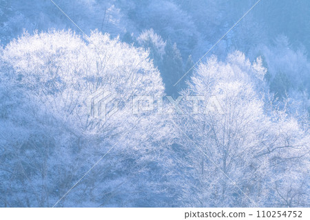 [Nagano Prefecture] Natural landscape of hoarfrost/Hakuba Village in winter 110254752