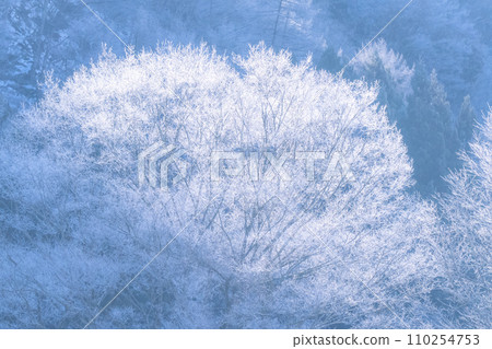 [長野縣] 冬天的白霜自然景觀/白馬村 110254753
