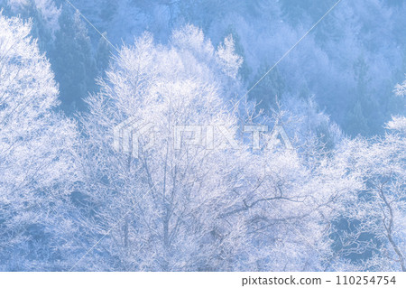 [Nagano Prefecture] Natural landscape of hoarfrost/Hakuba Village in winter 110254754