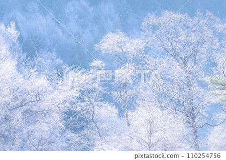 [Nagano Prefecture] Natural landscape of hoarfrost/Hakuba Village in winter 110254756