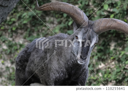 Sue Cho Varal Sue Cho Varal 110255641