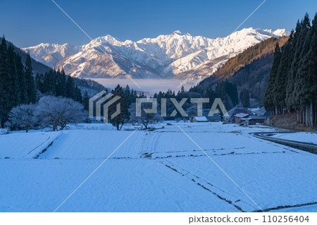 [長野縣] 白雪皚皚的北阿爾卑斯山的黎明，白馬村青木村的冬景 110256404