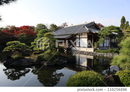 Hyogo, Himeji, Kokoen, the mansion's garden garden and autumn leaves Hyogo, Himeji, Kokoen, the mansion's garden garden and autumn leaves 110256896