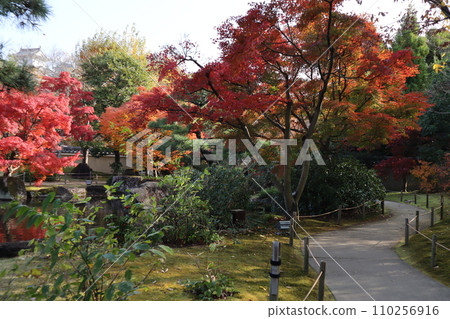 兵庫縣姬路古公園，有月山池和秋葉 110256916
