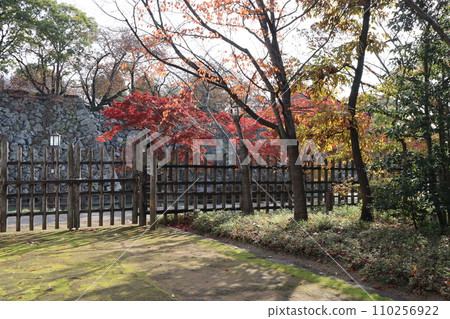 兵庫縣姬路清晨古古園木柵欄 兵庫縣姬路清晨古古園木柵欄 110256922