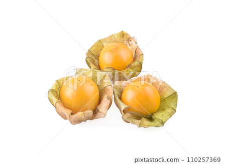 Physalis ,cape gooseberry isolated on white Physalis ,cape gooseberry isolated on white 110257369
