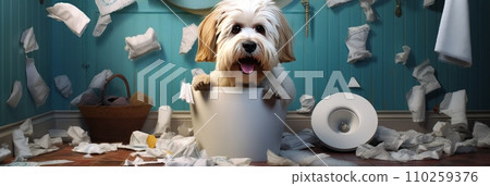 Mischievous dog chewed and scattered toilet paper Mischievous dog chewed and scattered toilet paper 110259376