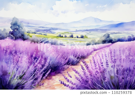 Blooming fields of purple lavender Blooming fields of purple lavender 110259378