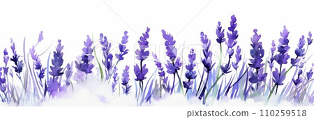Water illustration of lavender 110259518