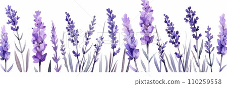 Water illustration of lavender Water illustration of lavender 110259558