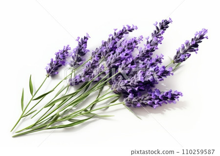 Lavender bouquet isolated on white 110259587