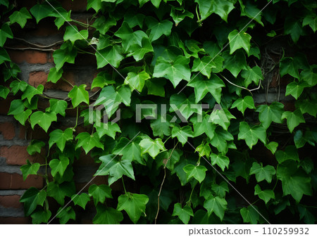 Old bricks and ivy. AI generated image Old bricks and ivy. AI generated image 110259932