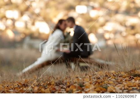 blur background of bride and groom are sitting on tree in nature, focus on leaves blur background of bride and groom are sitting on tree in nature, focus on leaves 110260967