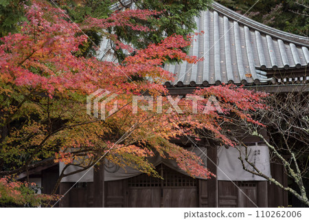 鎌倉 12 月 安國論寺 5 秋葉 鎌倉 12 月 安國論寺 5 秋葉 110262006