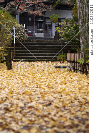 Kamakura December Ankokuronji Temple 10 Autumn leaves 110262011