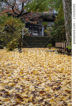 鎌倉 12 月 安國論寺 13 秋葉 110262081