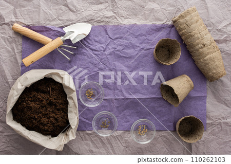Planting seedlings of tomato 110262103